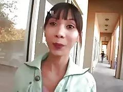 Châu á Miako trưởng thành